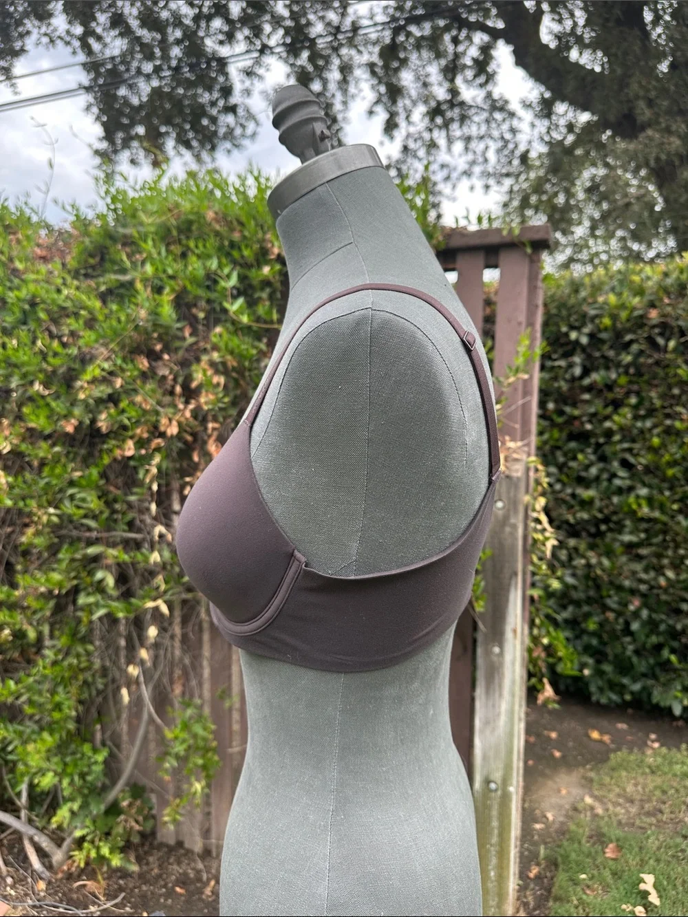 aerie seamless molded cup bra - brown